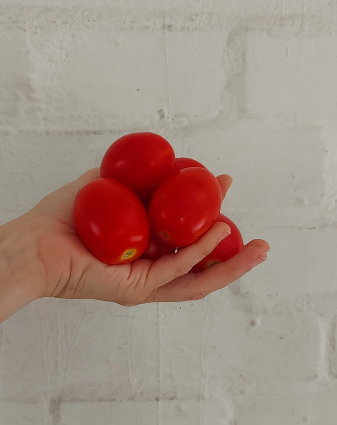 Pomodoro da salsa biologico - cassetta da 5 kg