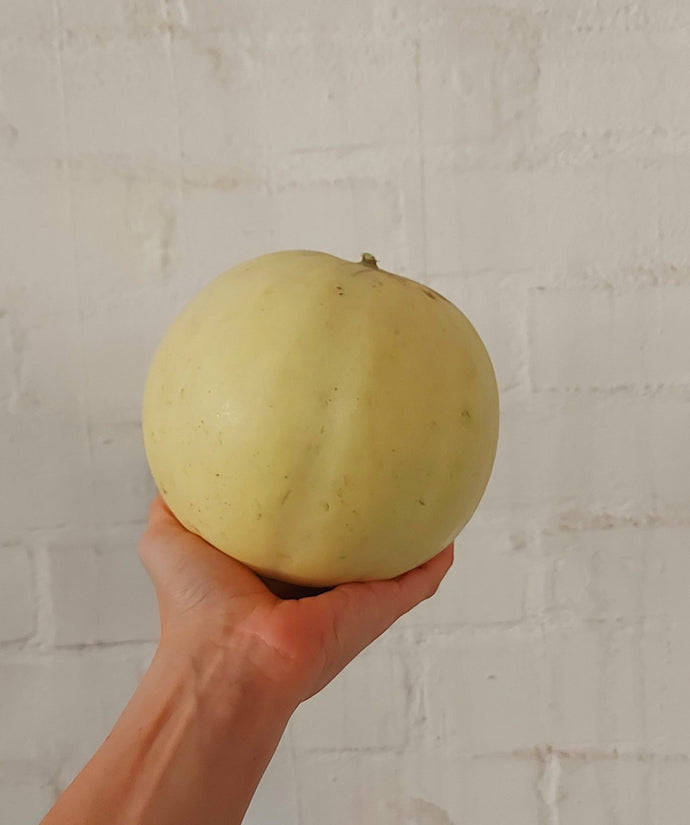 Melone liscio biologico