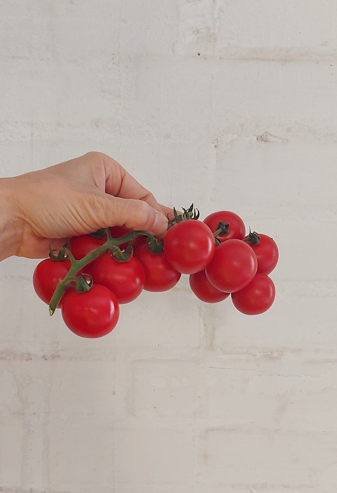 Pomodoro ciliegino biologico - 500 g