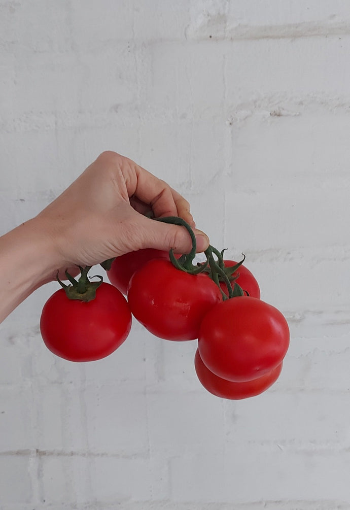Pomodoro grappolo biologico - 1000 gr