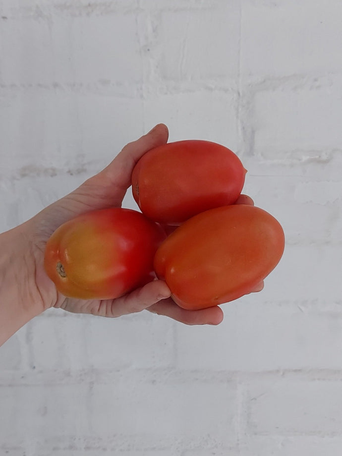 Pomodoro Insalataro biologico 1000 gr