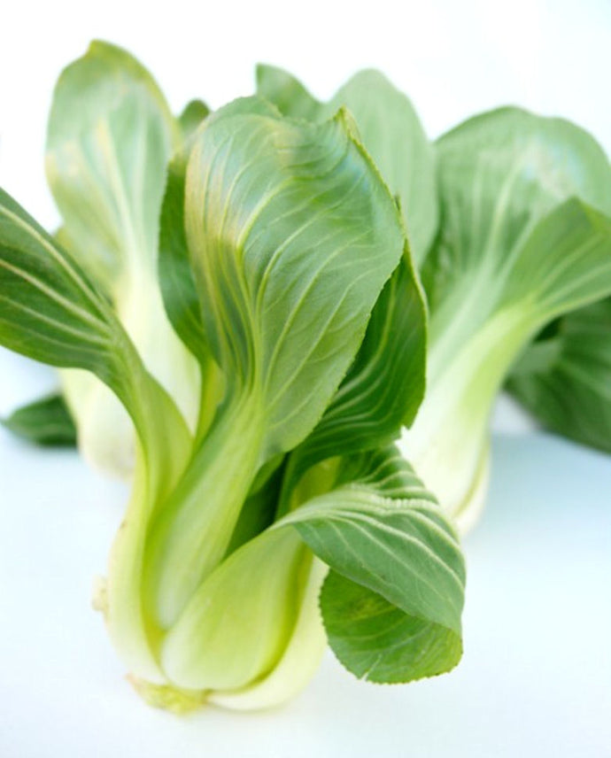 Cavolo Cinese (Pak-Choi) biologico 500 gr