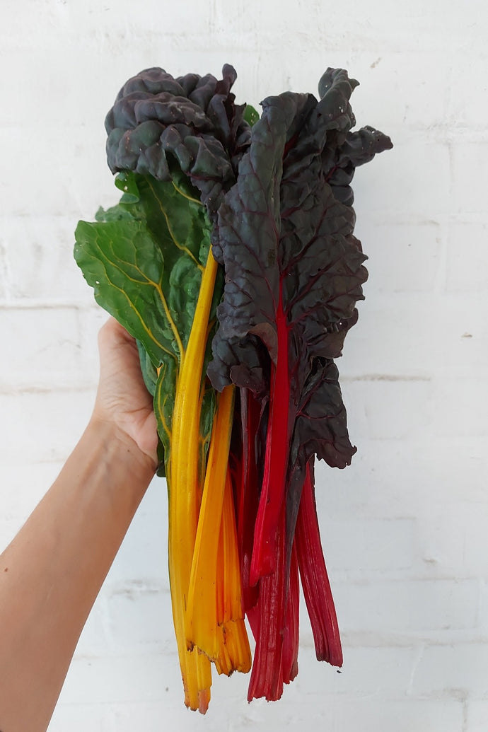 Bietolina colorata biologica 500 gr