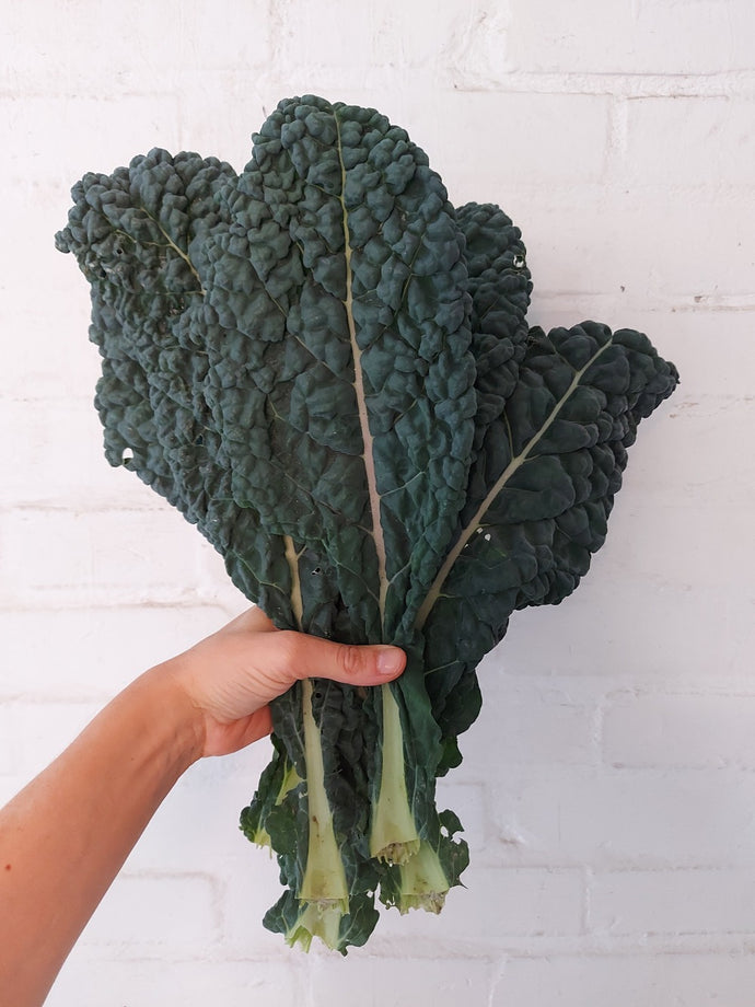 Cavolo nero biologico 500 gr
