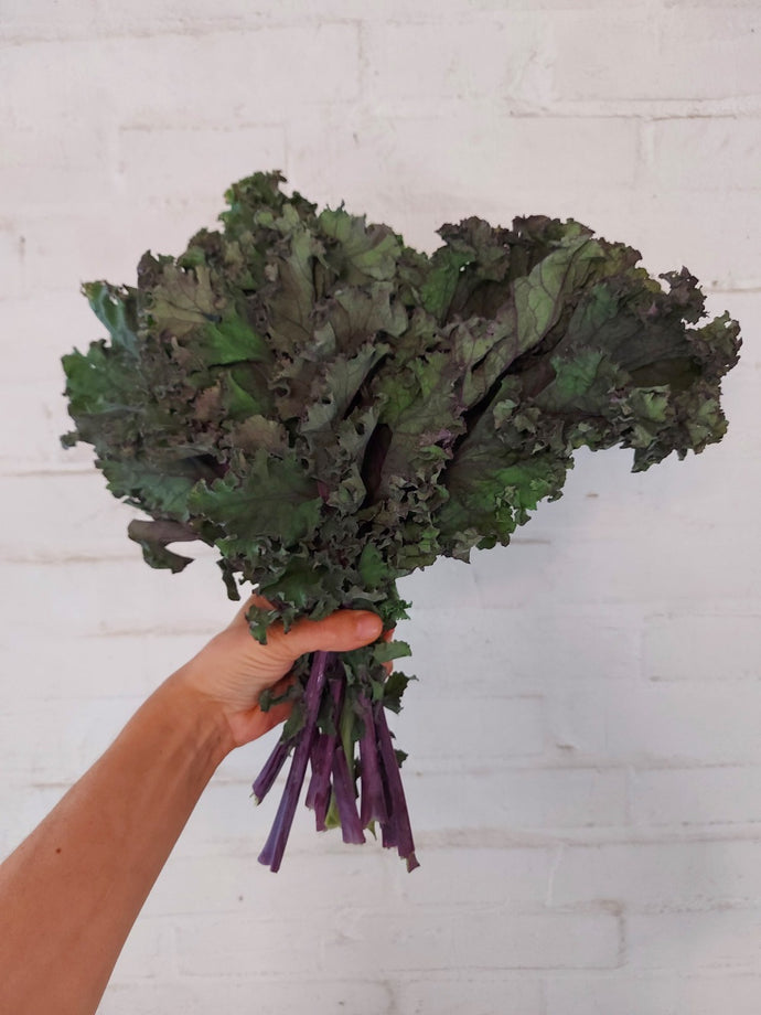 Cavolo riccio, Kale biologico 500 gr