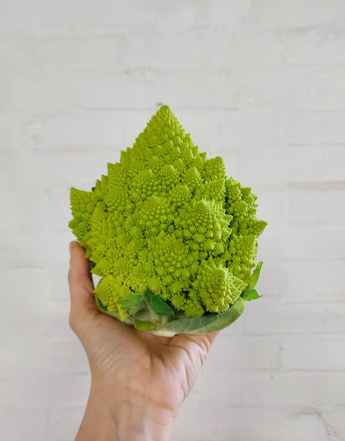 cavolo romanesco biologico