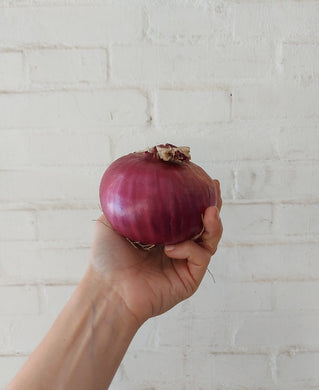 cipolla rossa secca biologica