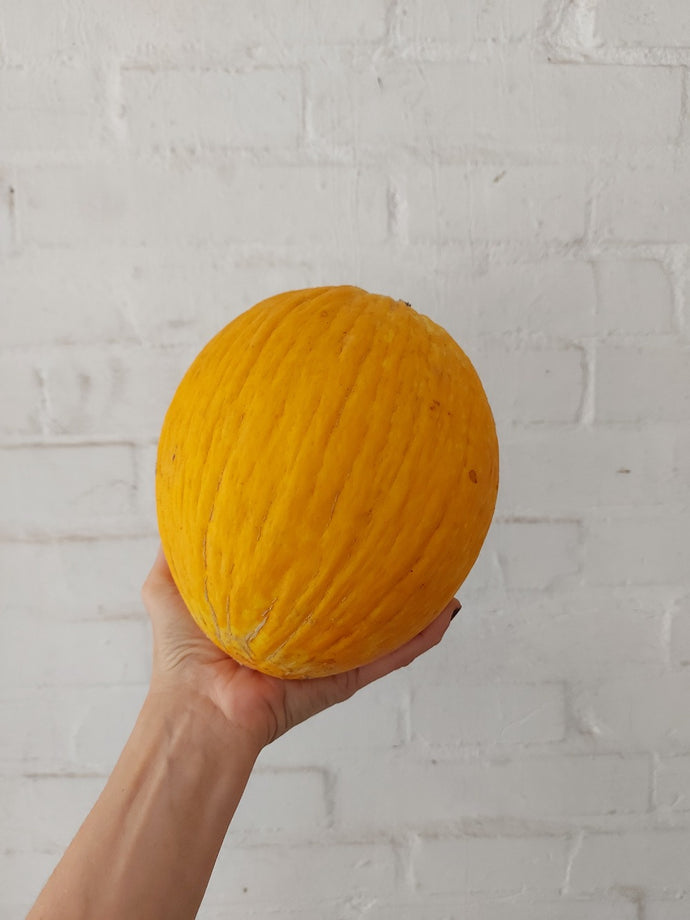 Melone gialletto biologico