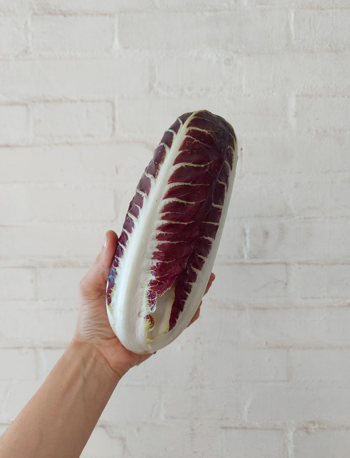 Radicchio lungo rosso biologico - 500 gr