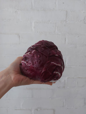 radicchio tondo rosso