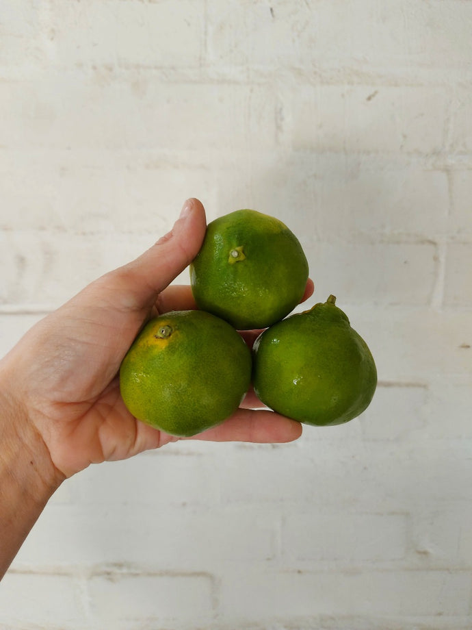 Satsuma Miyagawa biologici 700 gr