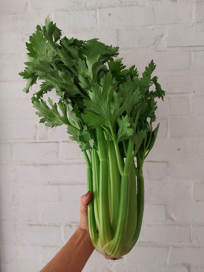 Sedano verde biologico 700 gr