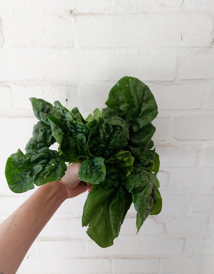 Spinaci biologici 500 gr